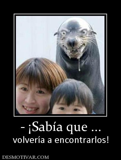 - ¡Sabía que ... volvería a encontrarlos!