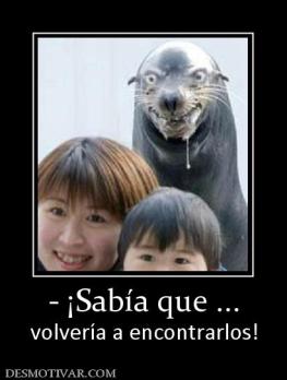 - ¡Sabía que ... volvería a encontrarlos!