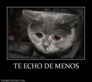 TE ECHO DE MENOS