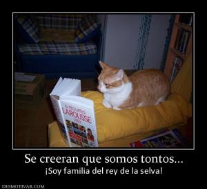 Se creeran que somos tontos... ¡Soy familia del rey de la selva!