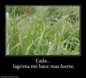 Cada...  lagrima me hace mas fuerte.
