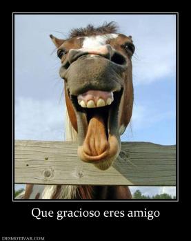 Que gracioso eres amigo
