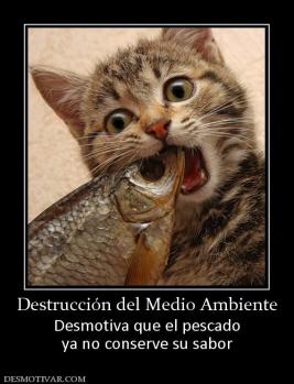 Destrucción del Medio Ambiente Desmotiva que el pescado ya no conserve su sabor