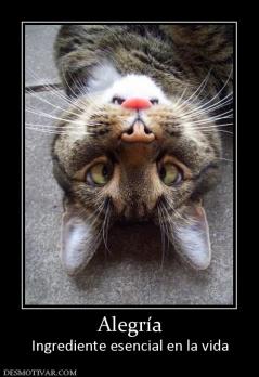 Alegría Ingrediente esencial en la vida