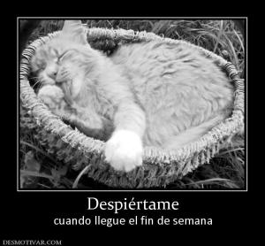 Despiértame cuando llegue el fin de semana