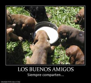 LOS BUENOS AMIGOS Siempre comparten...