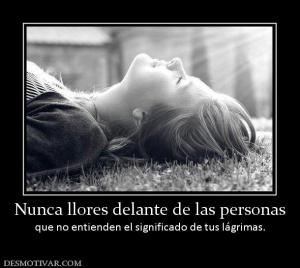 Nunca llores delante de las personas que no entienden el significado de tus lágrimas.