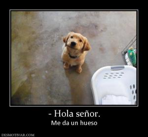 - Hola señor. Me da un hueso