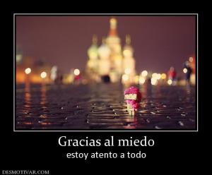 Gracias al miedo estoy atento a todo
