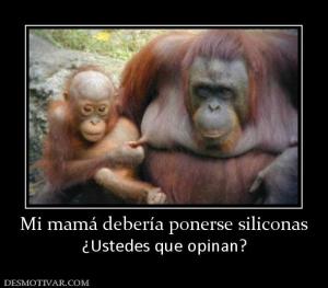 Mi mamá debería ponerse siliconas ¿Ustedes que opinan?