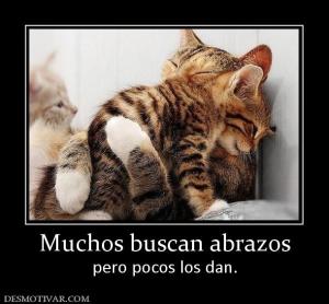 Muchos buscan abrazos pero pocos los dan.