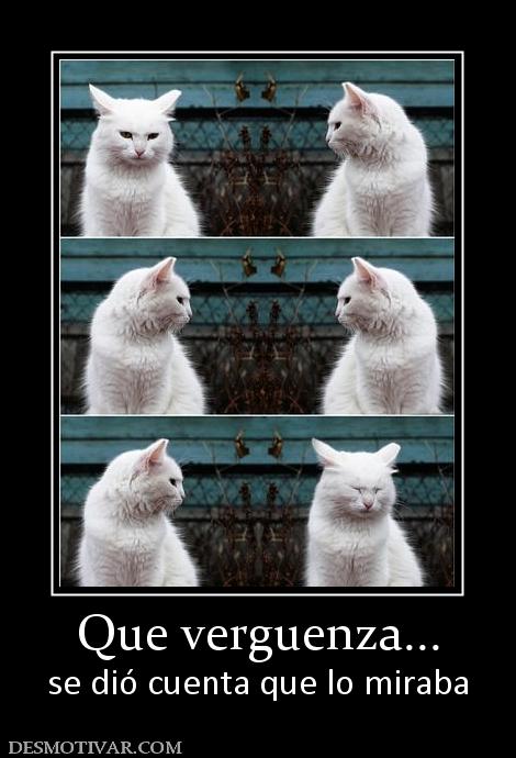Que verguenza... se dió cuenta que lo miraba
