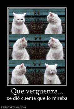 Que verguenza... se dió cuenta que lo miraba
