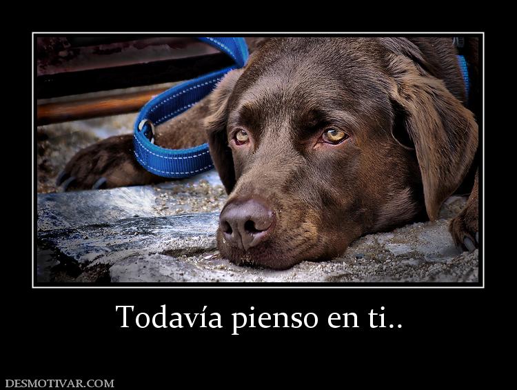 Todavía pienso en ti..