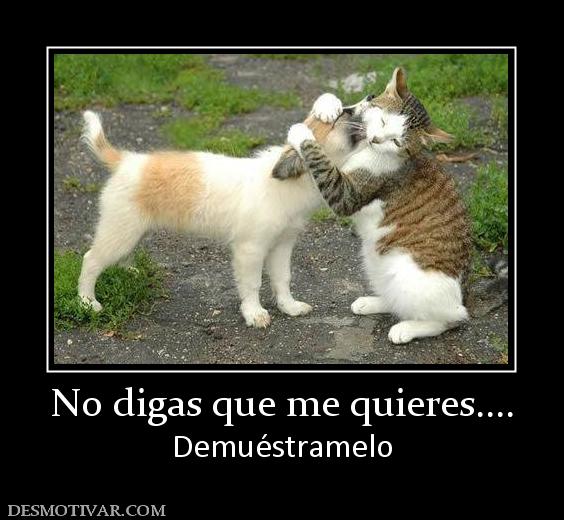No digas que me quieres.... Demuéstramelo