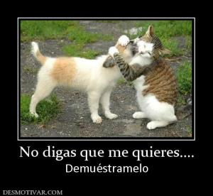 No digas que me quieres.... Demuéstramelo