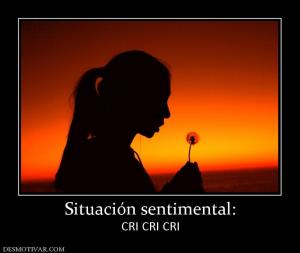 Situación sentimental: CRI CRI CRI