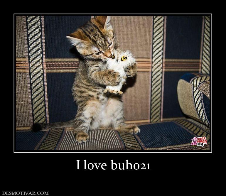 I love buho21
