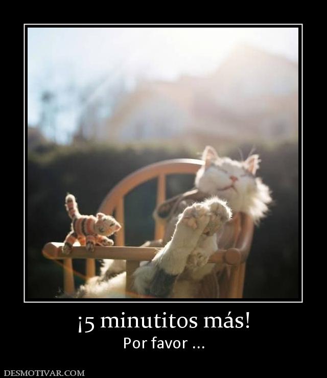 ¡5 minutitos más! Por favor ...