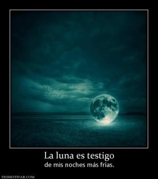 La luna es testigo de mis noches más frías.