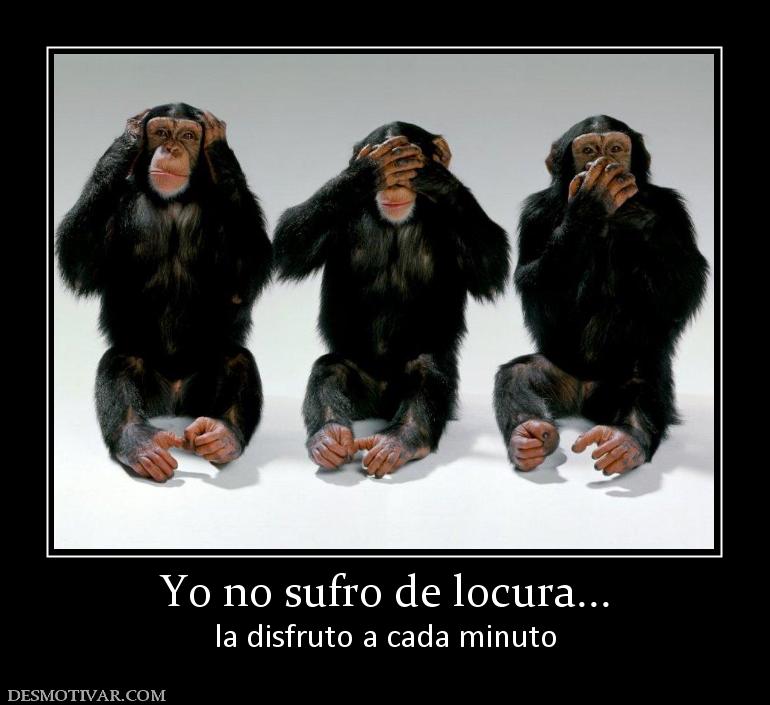 Yo no sufro de locura... la disfruto a cada minuto