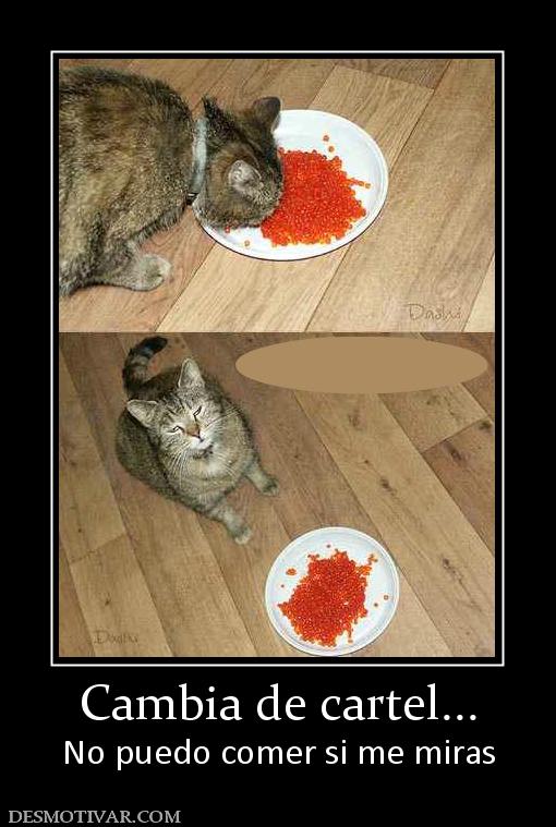 Cambia de cartel... No puedo comer si me miras