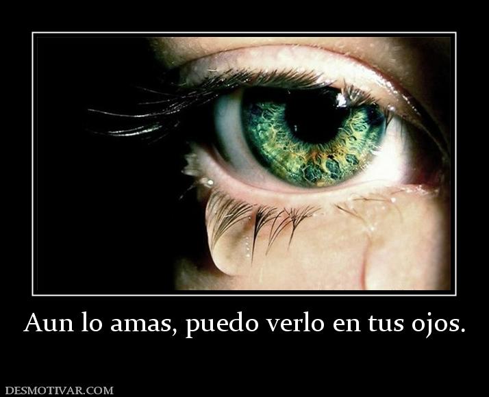 Aun lo amas, puedo verlo en tus ojos.