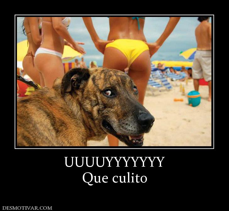 UUUUYYYYYYY Que culito