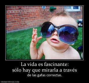 La vida es fascinante: sólo hay que mirarla a través  de las gafas correctas.