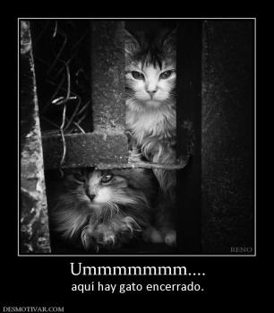 Ummmmmmm.... aquí hay gato encerrado.