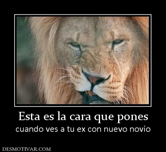 Esta es la cara que pones cuando ves a tu ex con nuevo novio