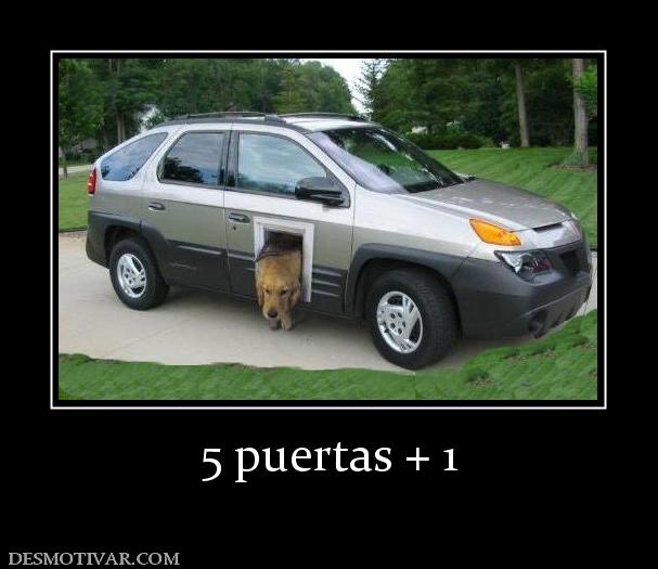 5 puertas + 1
