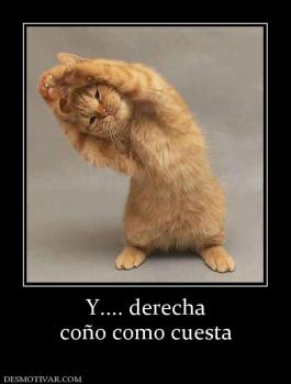 Y.... derecha coño como cuesta
