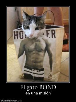 El gato BOND en una misión