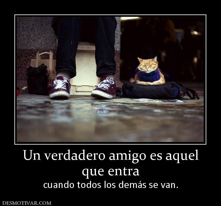 Un verdadero amigo es aquel que entra cuando todos los demás se van.