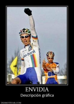 ENVIDIA Descripción gráfica