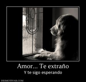 Amor... Te extraño Y te sigo esperando