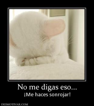 No me digas eso... ¡Me haces sonrojar!