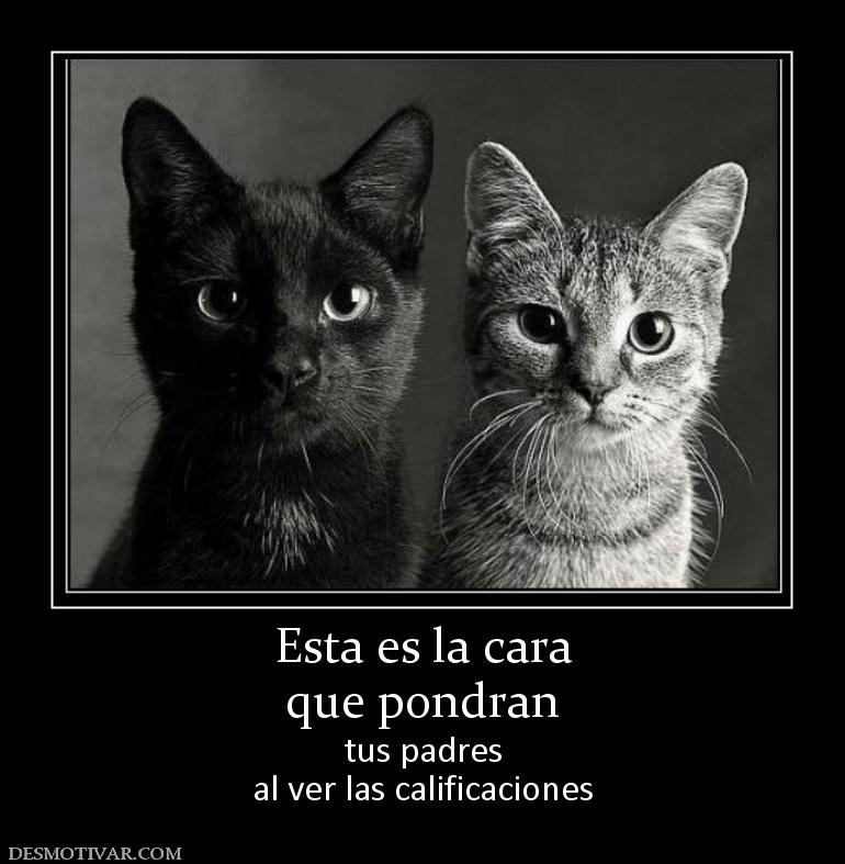 Esta es la cara que pondran  tus padres al ver las calificaciones