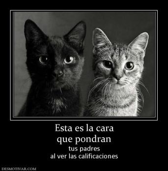 Esta es la cara que pondran  tus padres al ver las calificaciones