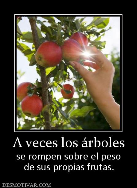 A veces los árboles se rompen sobre el peso de sus propias frutas.