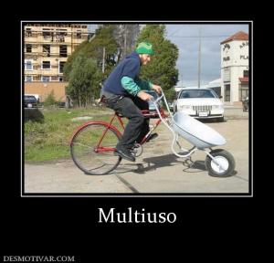 Multiuso