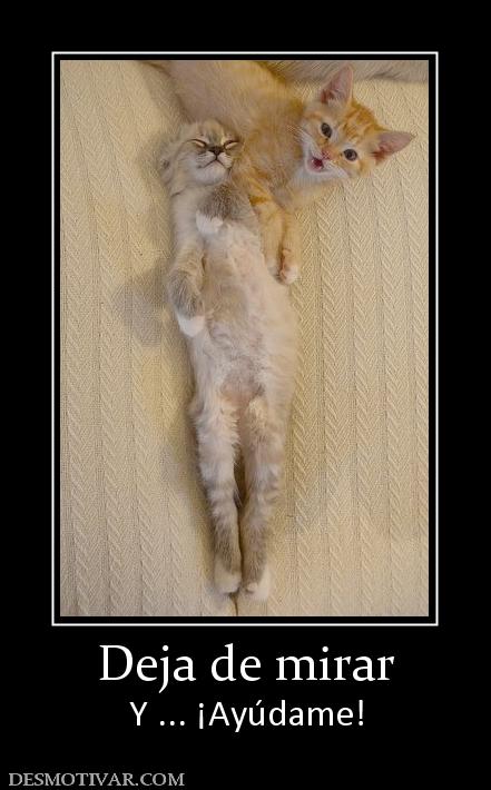 Deja de mirar Y ... ¡Ayúdame!