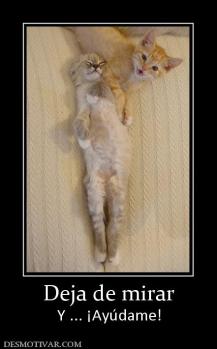 Deja de mirar Y ... ¡Ayúdame!