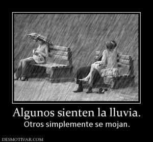 Algunos sienten la lluvia. Otros simplemente se mojan.