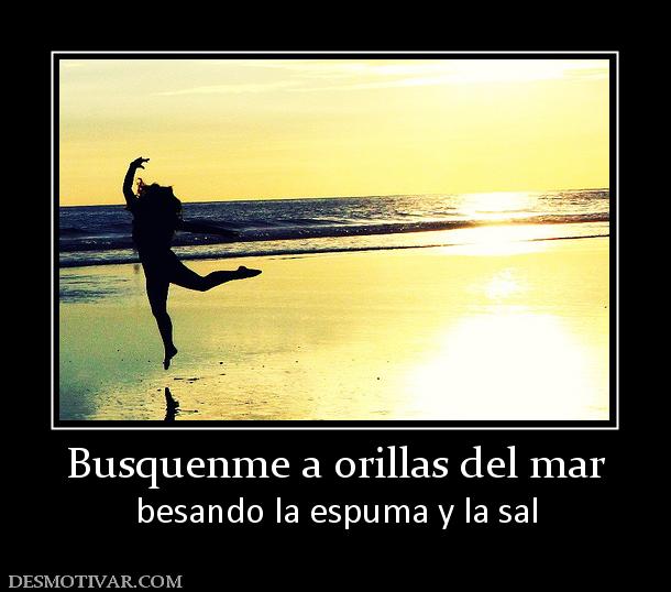 Busquenme a orillas del mar besando la espuma y la sal