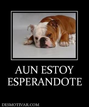 AUN ESTOY ESPERANDOTE