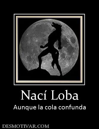 Nací Loba Aunque la cola confunda