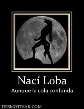 Nací Loba Aunque la cola confunda