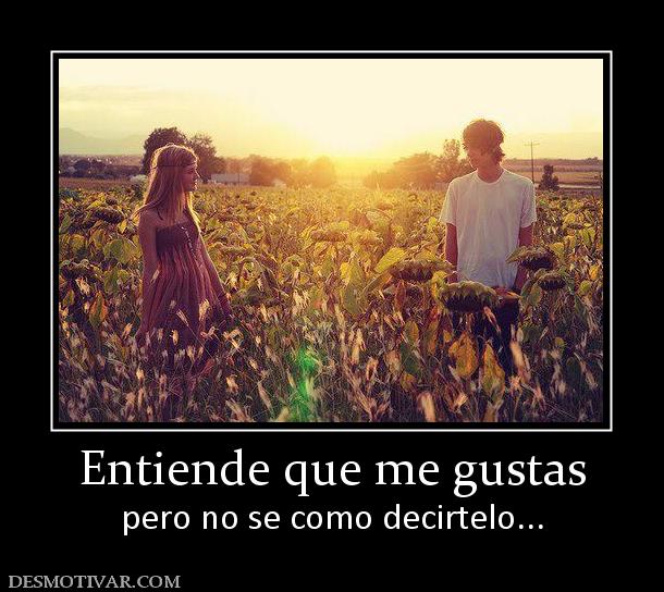 Entiende que me gustas pero no se como decirtelo...